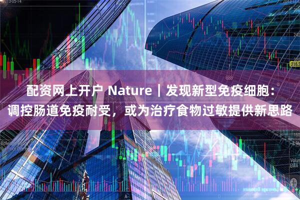 配资网上开户 Nature｜发现新型免疫细胞：调控肠道免疫耐受，或为治疗食物过敏提供新思路