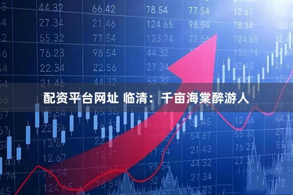 配资平台网址 临清：千亩海棠醉游人